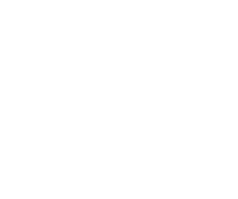 Galaxy (Tiger Sydney)